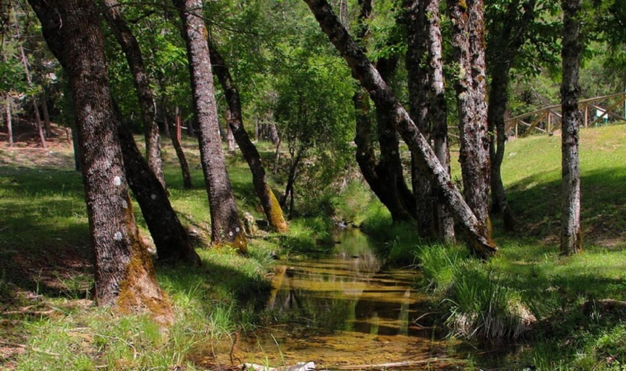 Séjour à la campagne Aguascebas Mogon